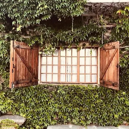 Casa Fenteiras 펜션 칸가스데모라조